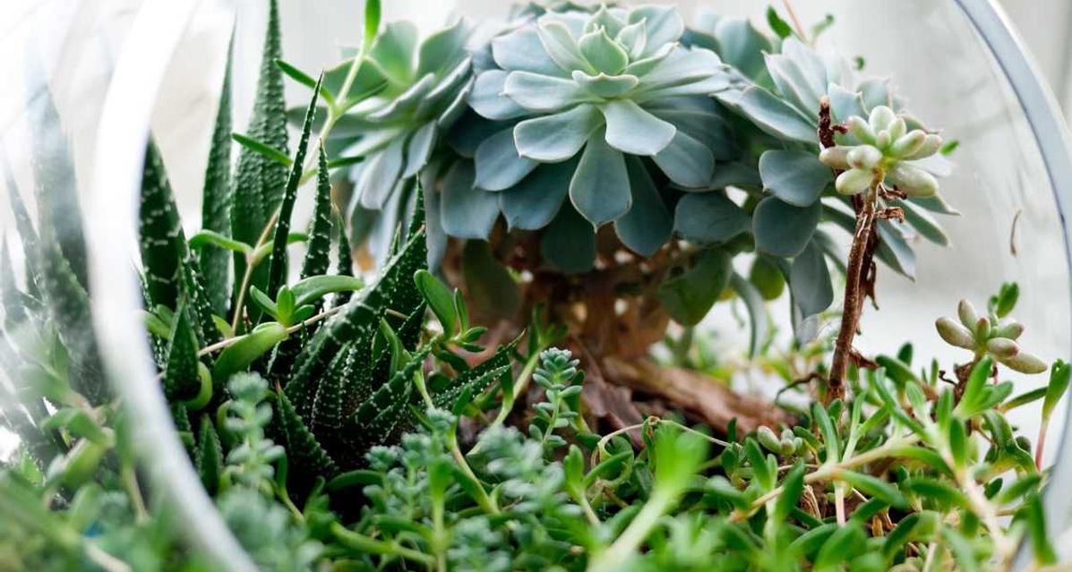 Eum et molestias et sit