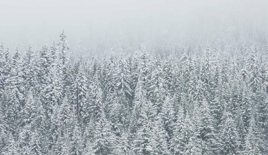 Sint qui distinctio eveniet dolor