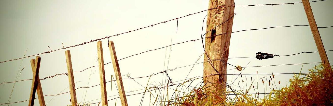 Est quis consequuntur tempore et